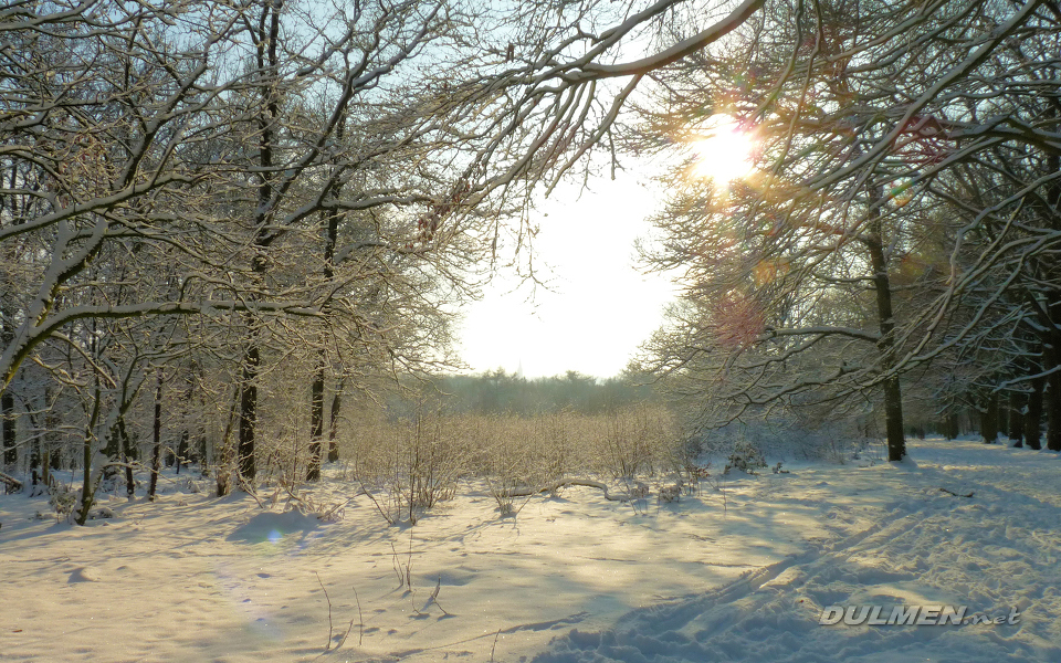 Snowy view from the Woldberg